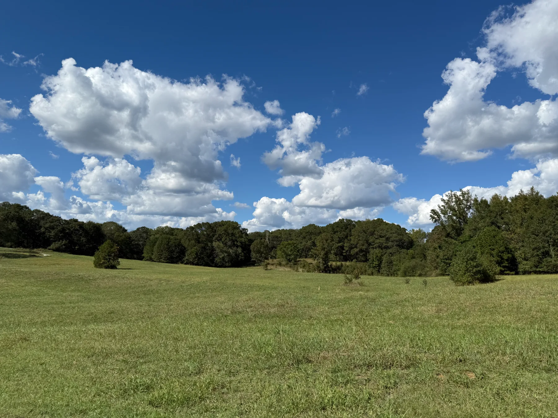 Sky at the farm